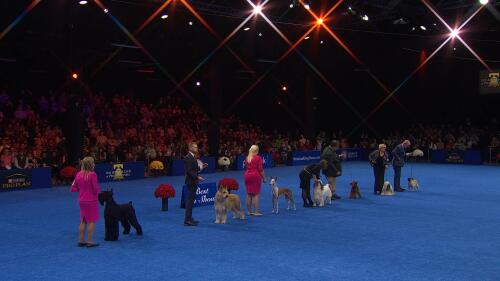 华体会官网-华体会